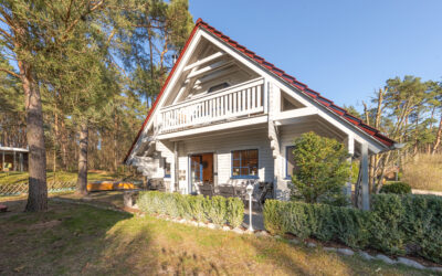 Urlaub mit Hund im Ferienhaus Leif mitten in der Natur